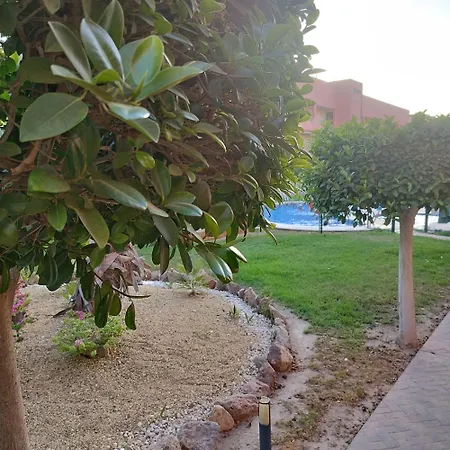 Apartmán Bajo Bora Palm, Piscina Privada Climatizable, 150M Playa Vera